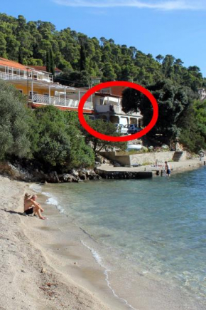 Apartments by the sea Brna, Korcula - 4425